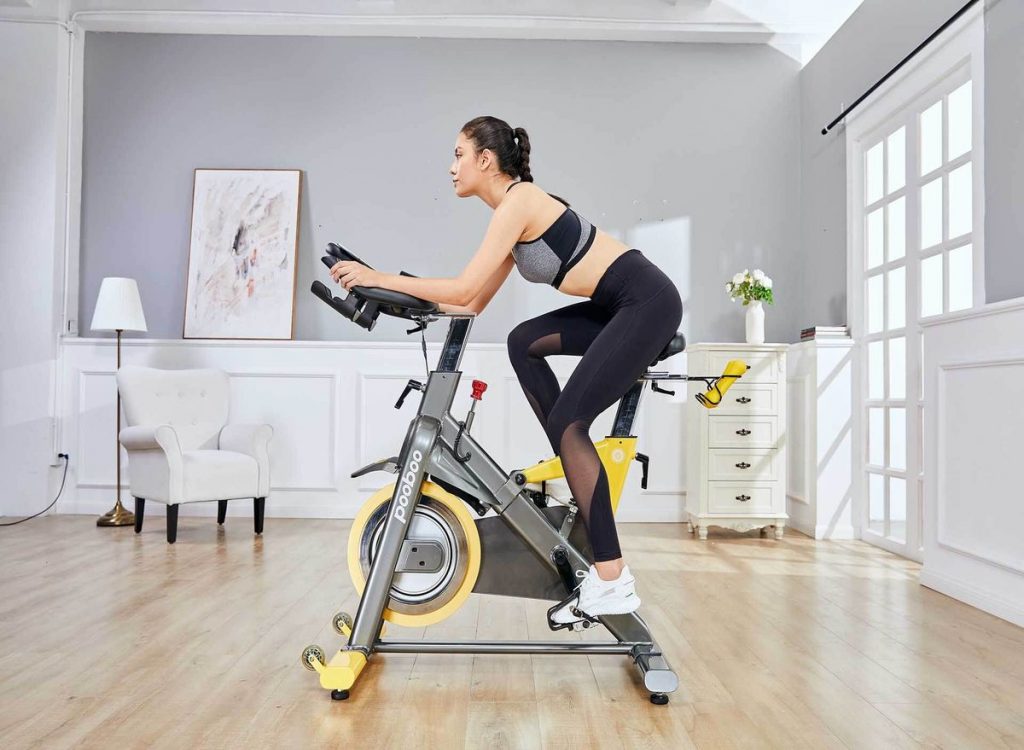 best indoor cycles