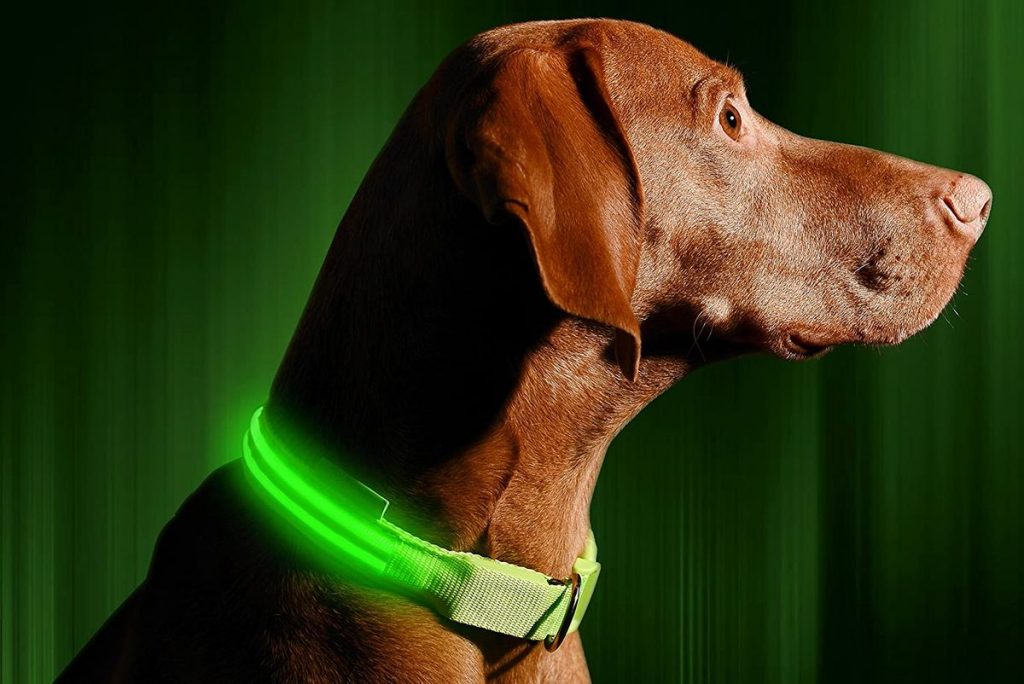 5 Best Rechargeable LED Dog Collars Price And Features   Best Led Dog Collar 1024x684 