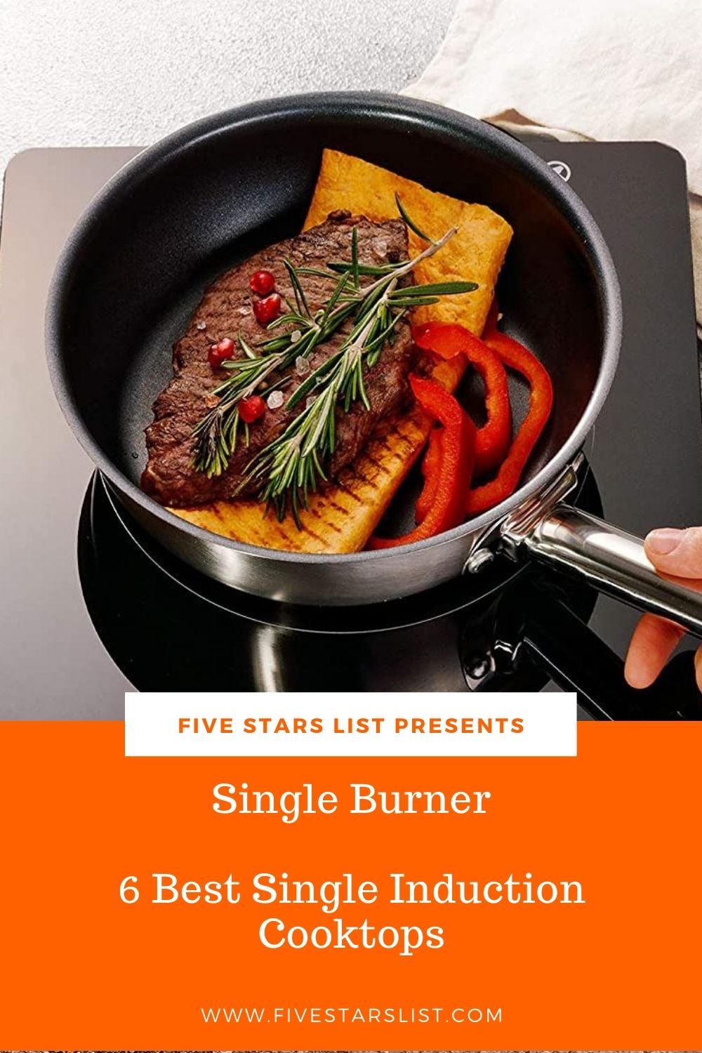 Single Burner: 6 Best Single Induction Cooktops 